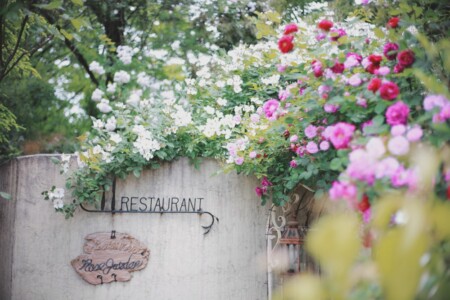 入り口から薔薇の香りにつつまれて